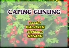 Lirik Lagu Waljinah Caping Gunung